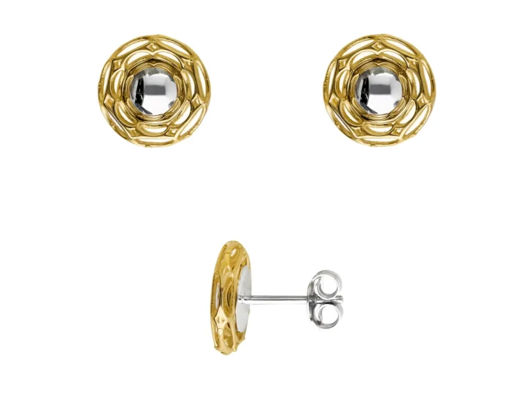 Earrings with round element and frame